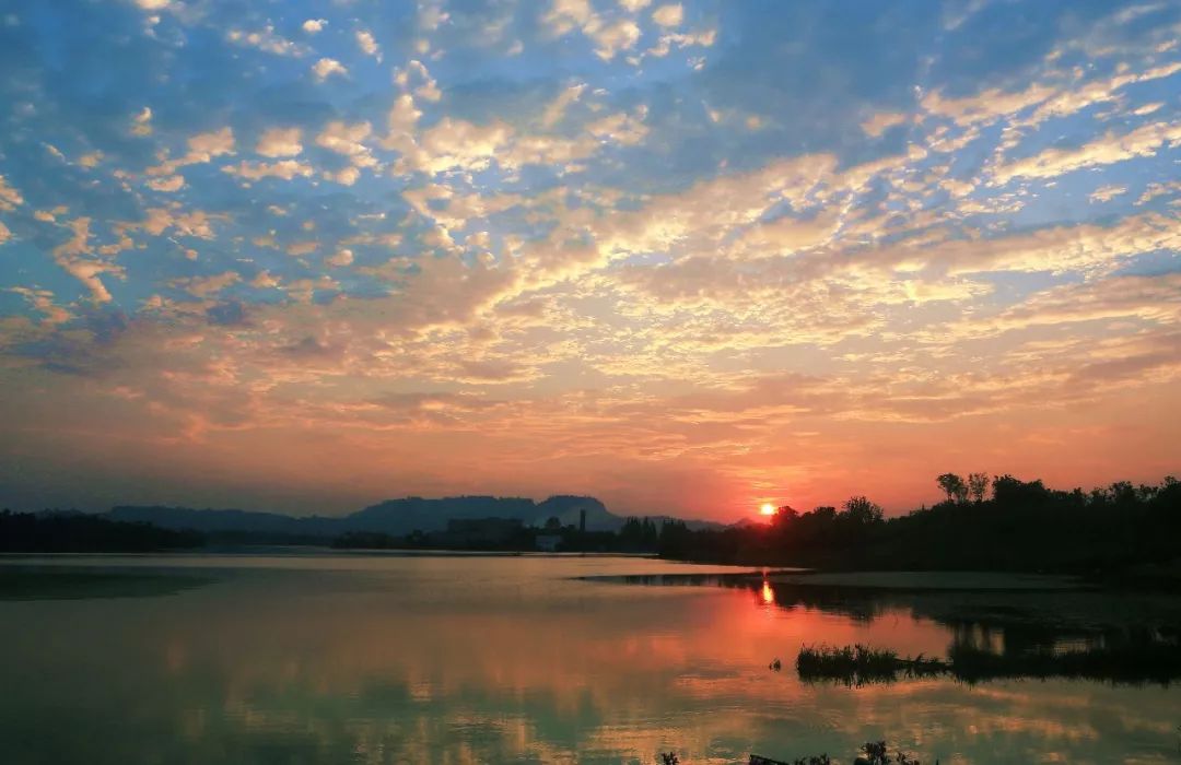 來雙桂湖和夕陽下的奇觀不期而遇