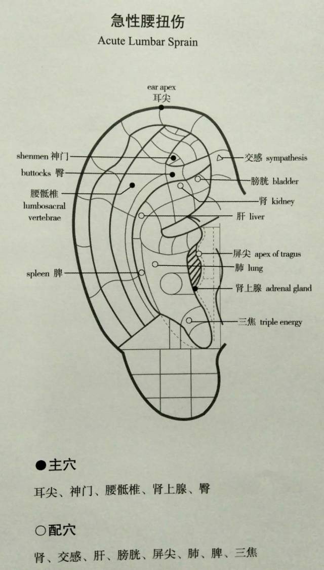 體現了中醫的整體觀,突出了經絡系統聯繫上下,溝通內外的功能