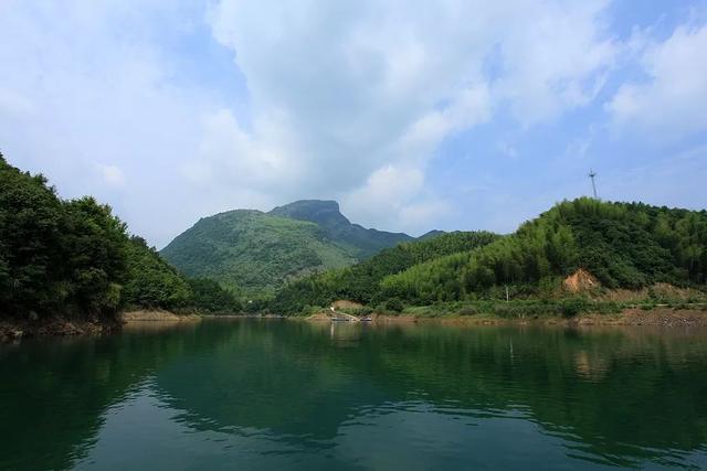 區向陽湖溼地公園 嘉魚珍湖溼地公園 白鷺齊飛 咸寧市嘉魚縣陸溪鎮