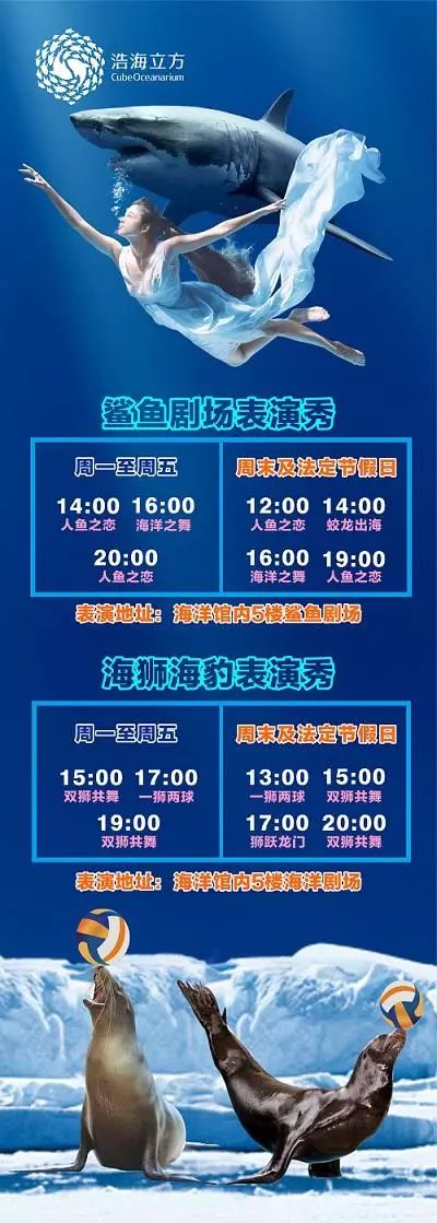 成都浩海立方海洋馆门票仅需899元一起去体验梦幻海底世界吧