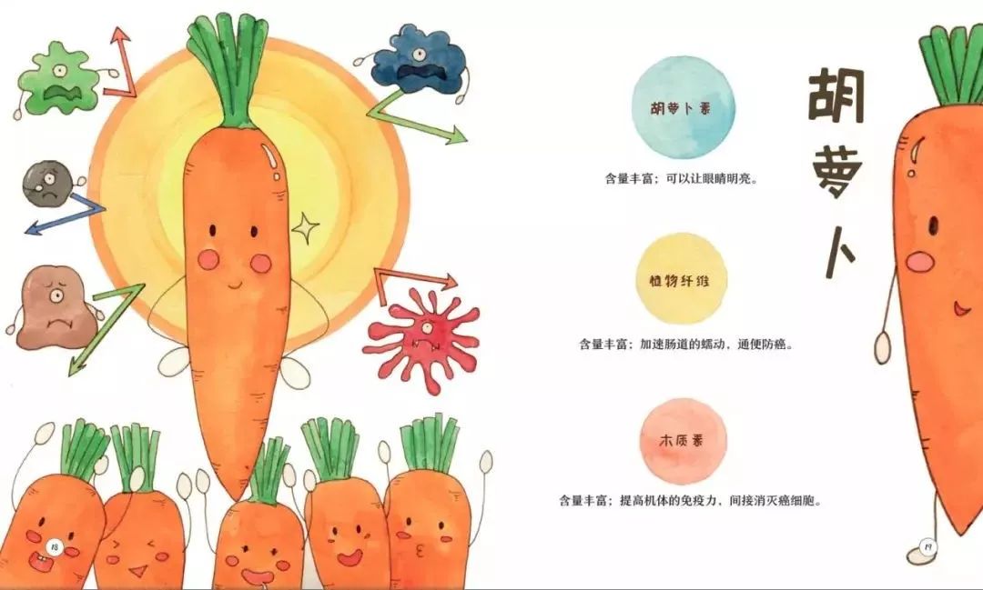 胡萝卜的结构图及名称图片