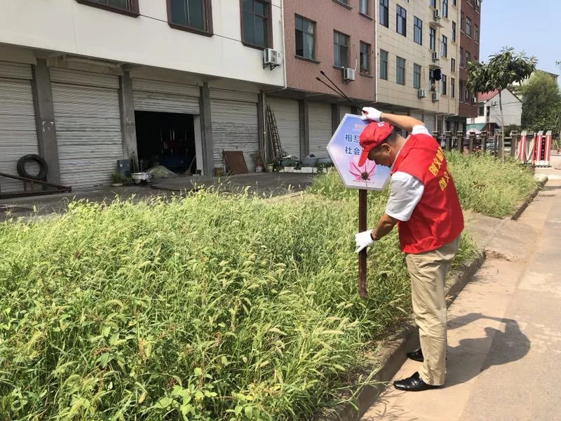 区农林局党员干部到骆家塘社区开展创建全国文明城市志愿服务活动.