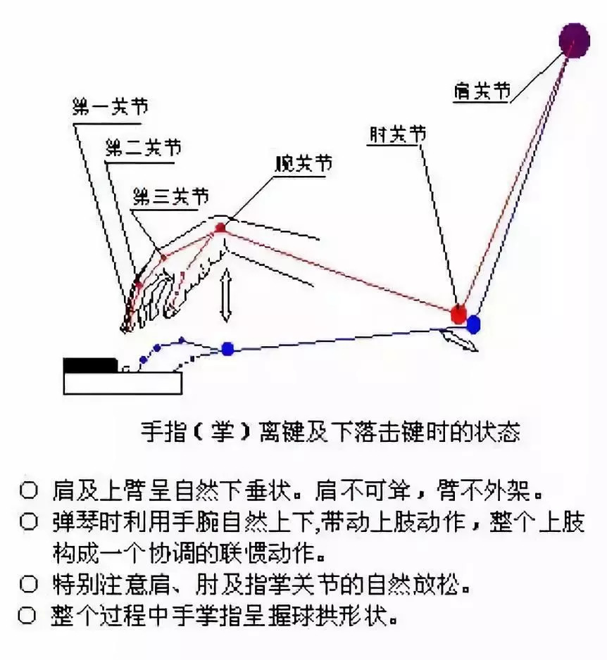 弹钢琴的正确手势简图