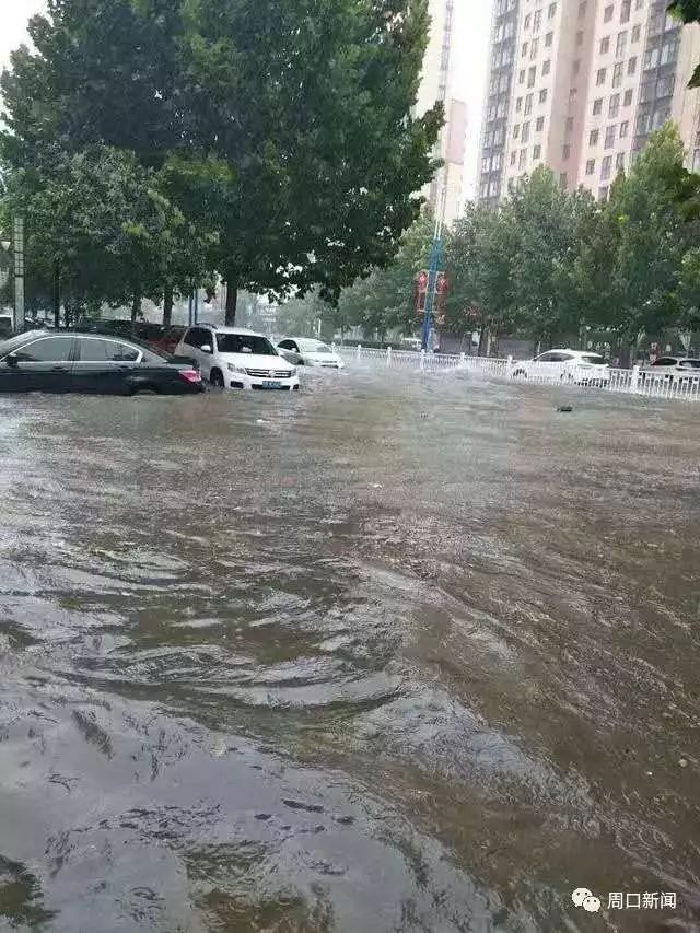 新乡长垣暴雨图片