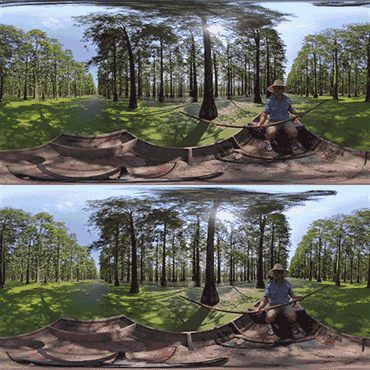 大树动态视频素材3d图片