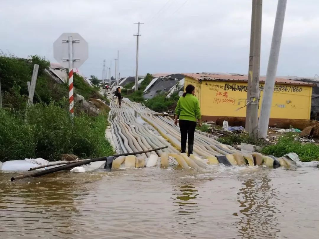 罕见多地大棚被狂风暴雨击垮台风致山东河南安徽江苏辽宁等地农业损失