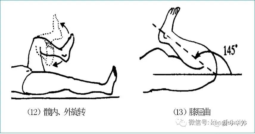 膝关节活动范围图片