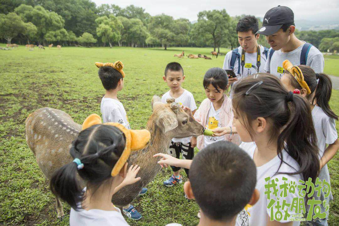 有一种凉爽叫"黑龙江的夏天,带孩子来和动物做朋友