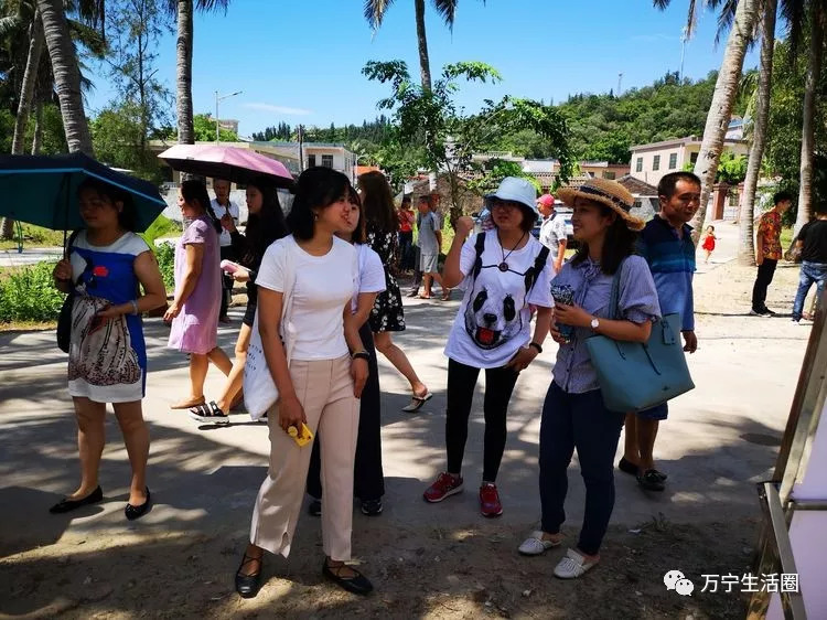 帅呆了万宁东澳水沟村又吸引一批海峡两岸学子慕名而来