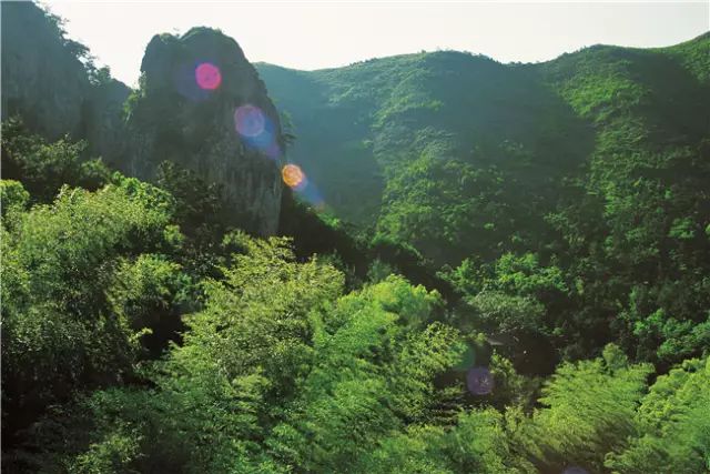 遇见灵山秀水,遇见夏日苍翠的中雁荡山!