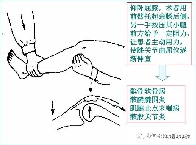 蹬腿伸膝试验图片