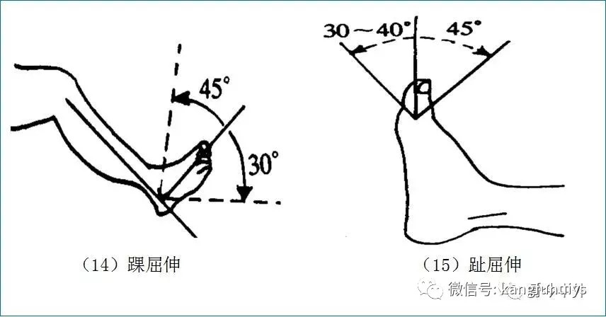 腰椎關節活動範圍1.頸椎關節活動範圍關節運動功能檢查