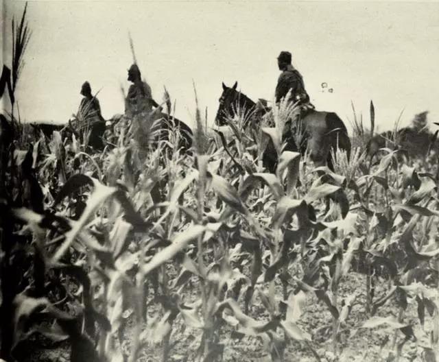 抗戰老照片,1938年萬家嶺大捷時狼狽的日寇