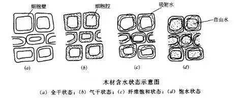 每一个细胞都有细胞壁和细胞腔.