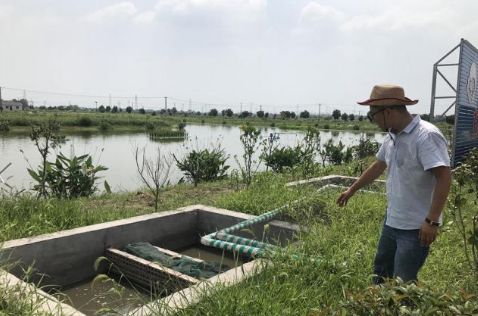 跑道養魚用藥少生長快肉質緊,比傳統方法養殖的魚要貴3多塊錢?_魚塘