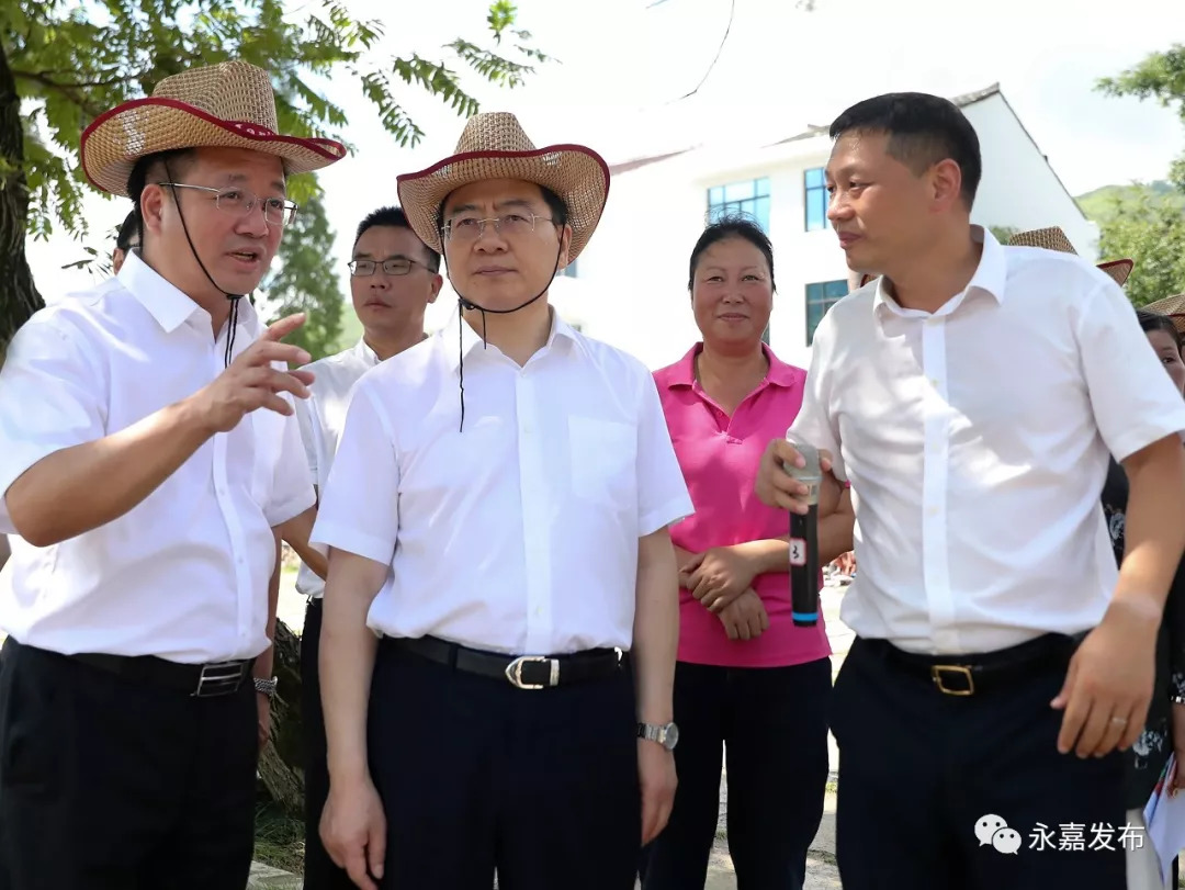 市委书记陈伟俊到永嘉调研旅游工作陈胜豪/摄在永调研期间,县委书记