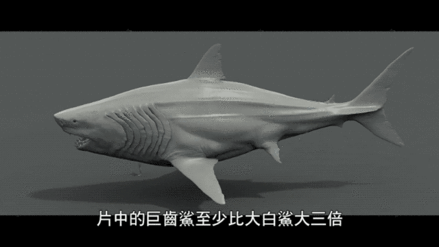 大白鲨图片gif图片