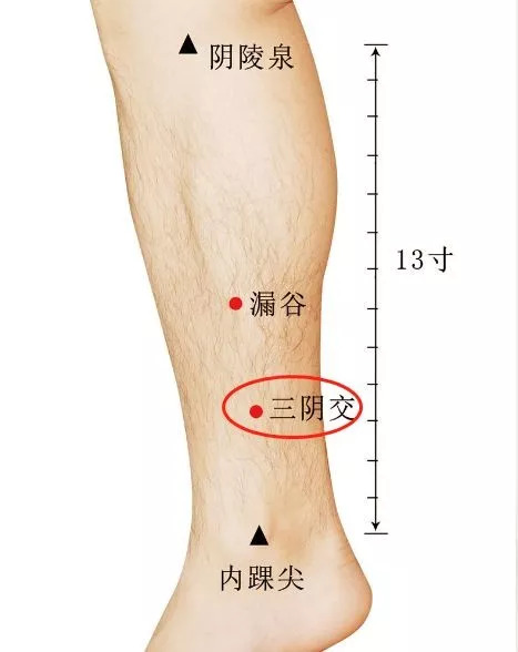 【艾健康】有一個穴位,美容,暖宮,調月經……還能改變你的易胖體質!_