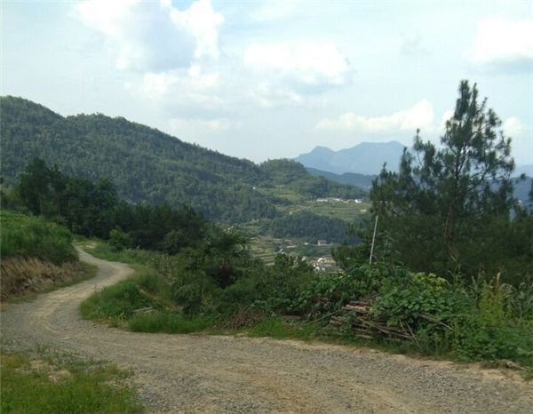 往日的稠木樹村二組因地處高山地區,交通閉塞,一片殘破凋敝的景象