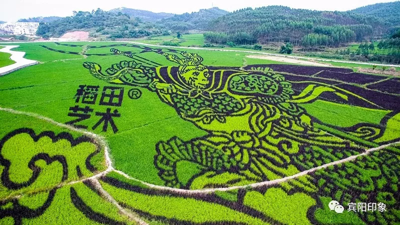 宾阳骄傲!宾阳文艺界人才辈出  多副宾阳特色对联获奖 (附作品)