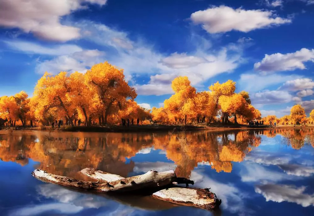 中国十大最美秋色图片