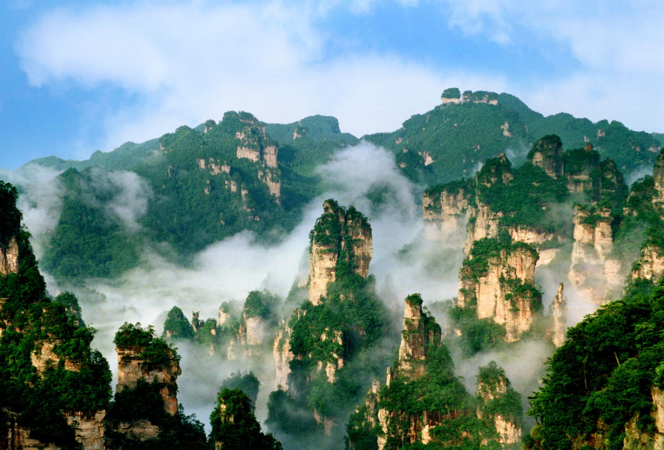 張家界必去的旅遊景點(張家界旅遊景點有哪些景點推薦)