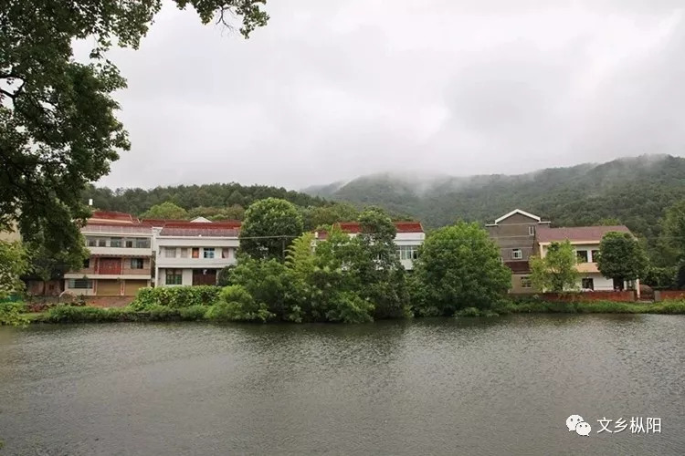 主编/统筹:文乡燕子诗词编辑:圆中老虎作者简介汪丽云,枞阳县某中学