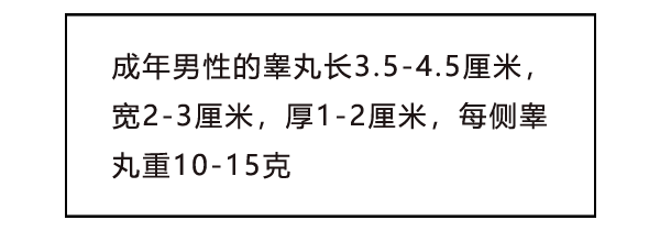 今日最佳蛋蛋都是一高一低的