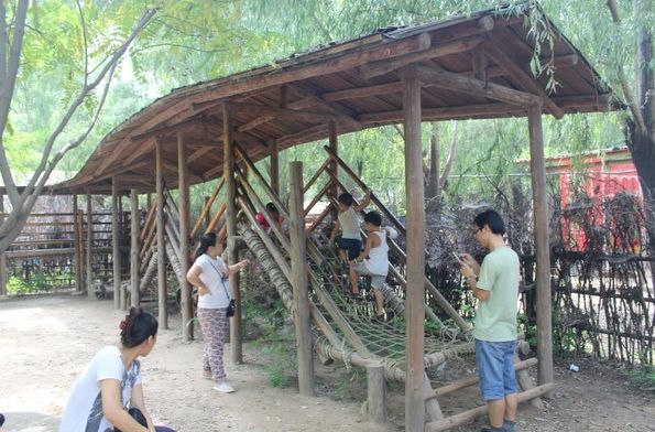 鄉村振興丨鄉村樂園_兒童