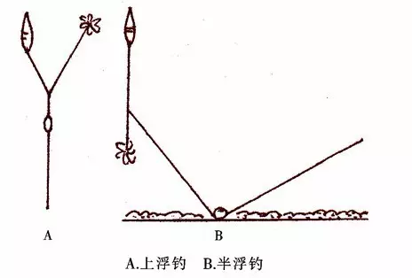 钓鱼达人全方位讲解鲢鱼的钓法