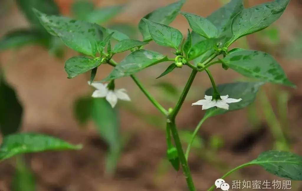 千万别马虎哦!_结果