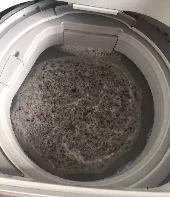 衣服越洗越脏,洗衣机用3个月,细菌量竟是马桶的530倍?