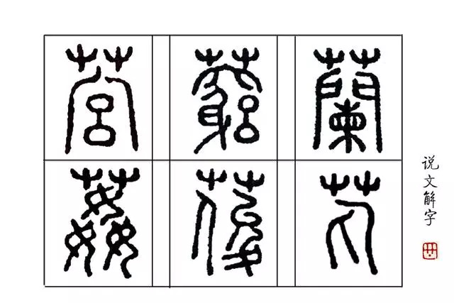 兰字甲骨文写法图片图片