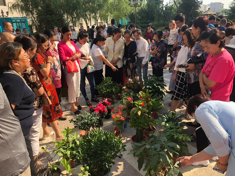 榆林首届"社区邻里节"花卉展走进柳营路社区