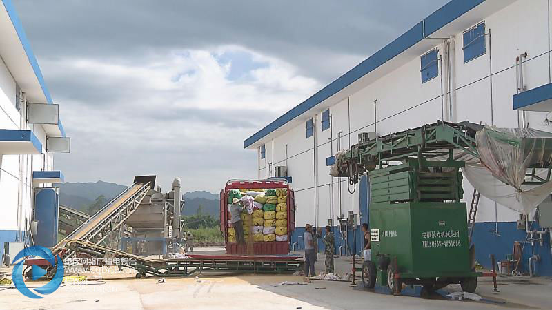 重庆梁平10万吨粮食仓库开始储存新粮