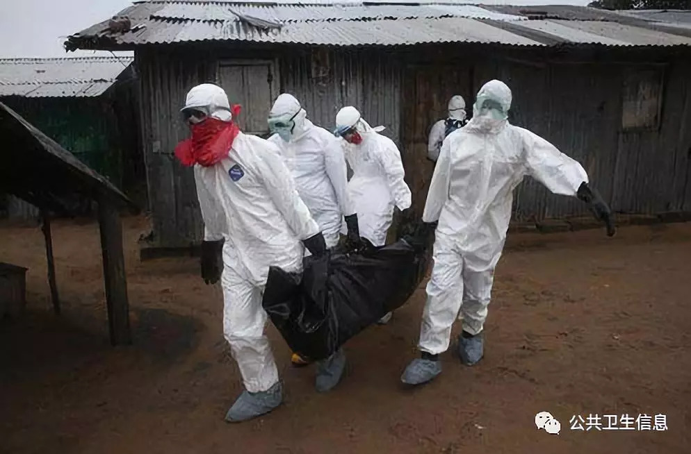 刚果金新一轮埃博拉病毒感染者逾百人