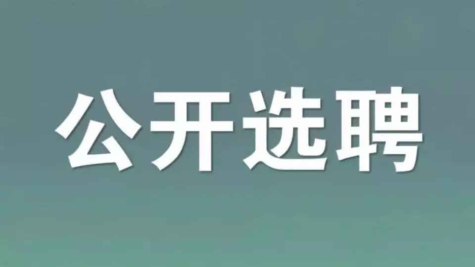 关于公开选聘第四次全国经济普查工作人员公告第一批