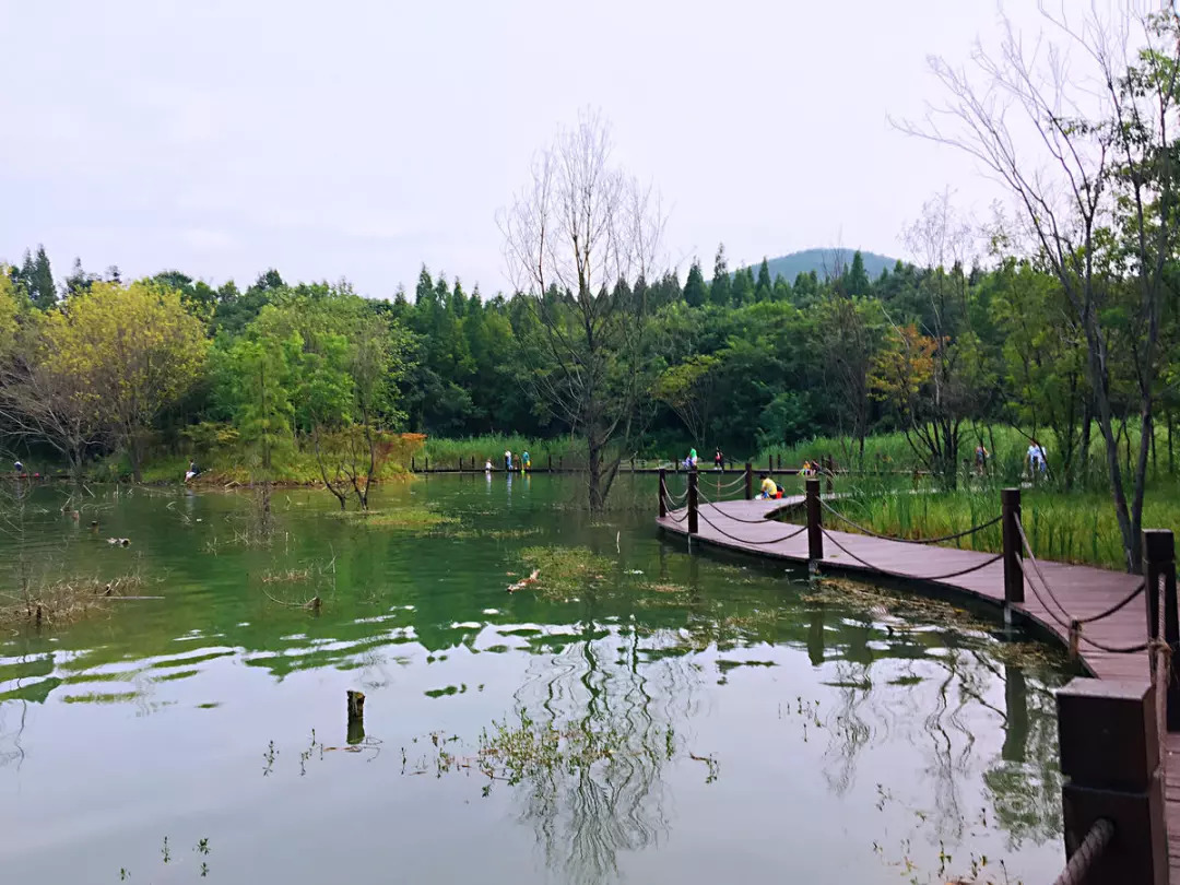 淮南山南湿地公园图片