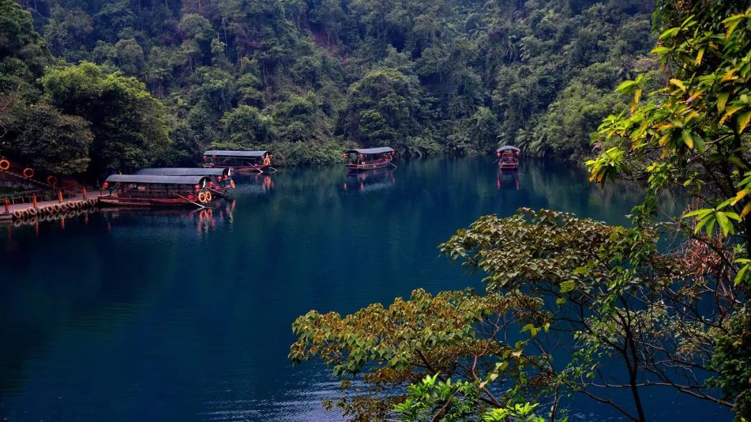 主要景點:鼎湖姻緣樹,慶雲寺,寶鼎園,飛水潭等.