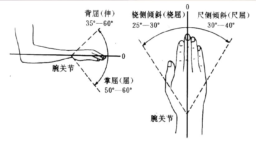 腕关节功能位20