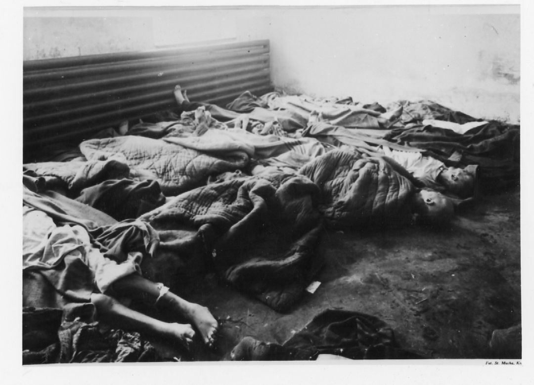 奥斯维辛集中营割肉图片