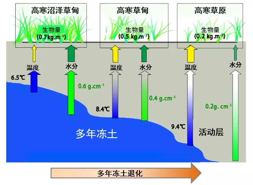 冻土与你我息息相关