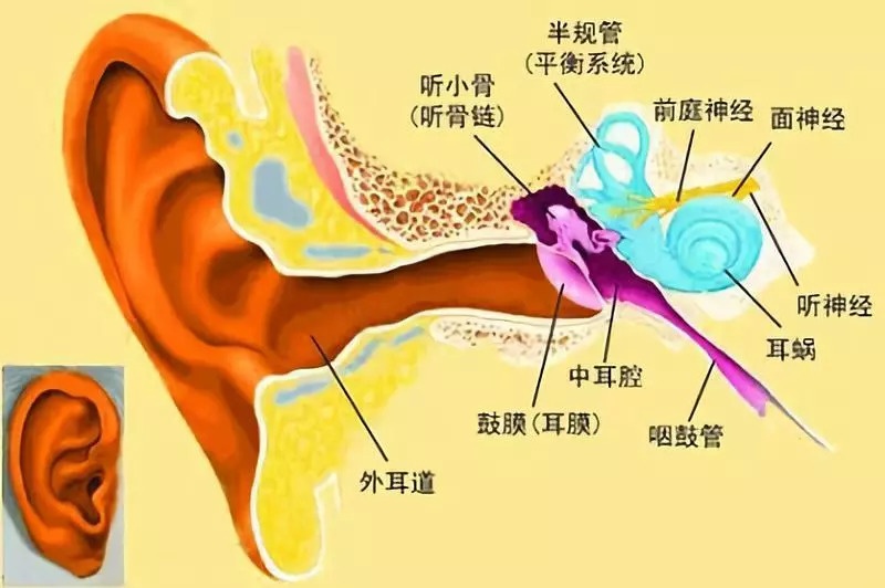 好好的怎么就得了中耳炎?