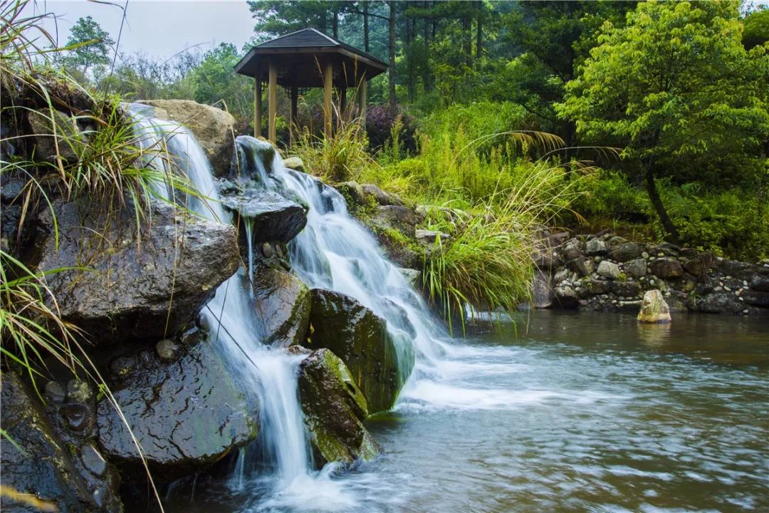 森呼吸悅享梅花山599元▼上杭中國虎園玻璃棧道平臺九溪廬森林漂流網