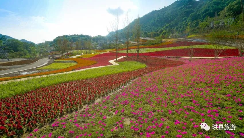 项目依托乡村振兴理念打造,重点整合珙县现有的龙茶花海等旅游资源