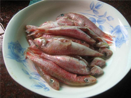 红秋姑鱼图片