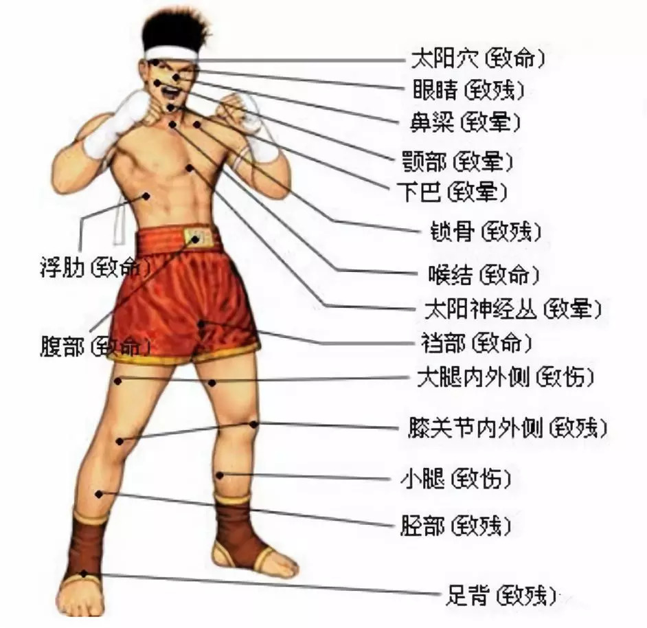 捏蛋防身术图片