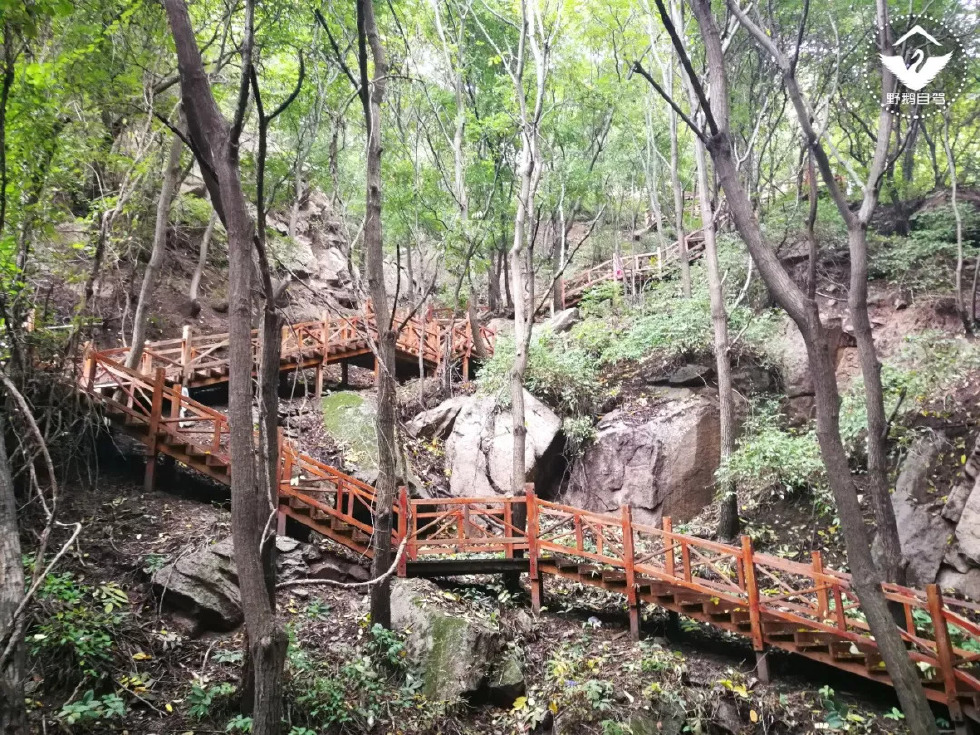 大同县狼窝山木栈道图片