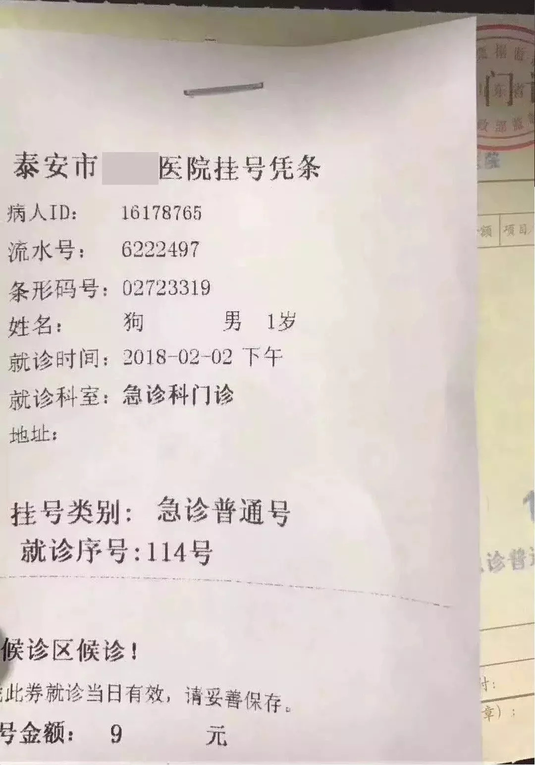 广西民族医院跑腿挂号，省去晚上熬夜排队的辛苦的简单介绍