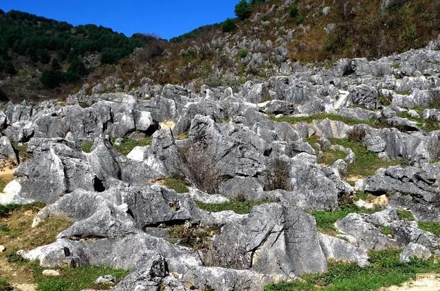 石林,峰林,高山喀斯特丘陵,溶沟,落水洞,盲谷,干谷,喀斯特小盆地,溶洞